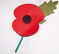 Click image for larger version

Name:	646px-Royal_British_Legion's_Paper_Poppy_-_white_background.jpg
Views:	806
Size:	41,5 KB
ID:	866598